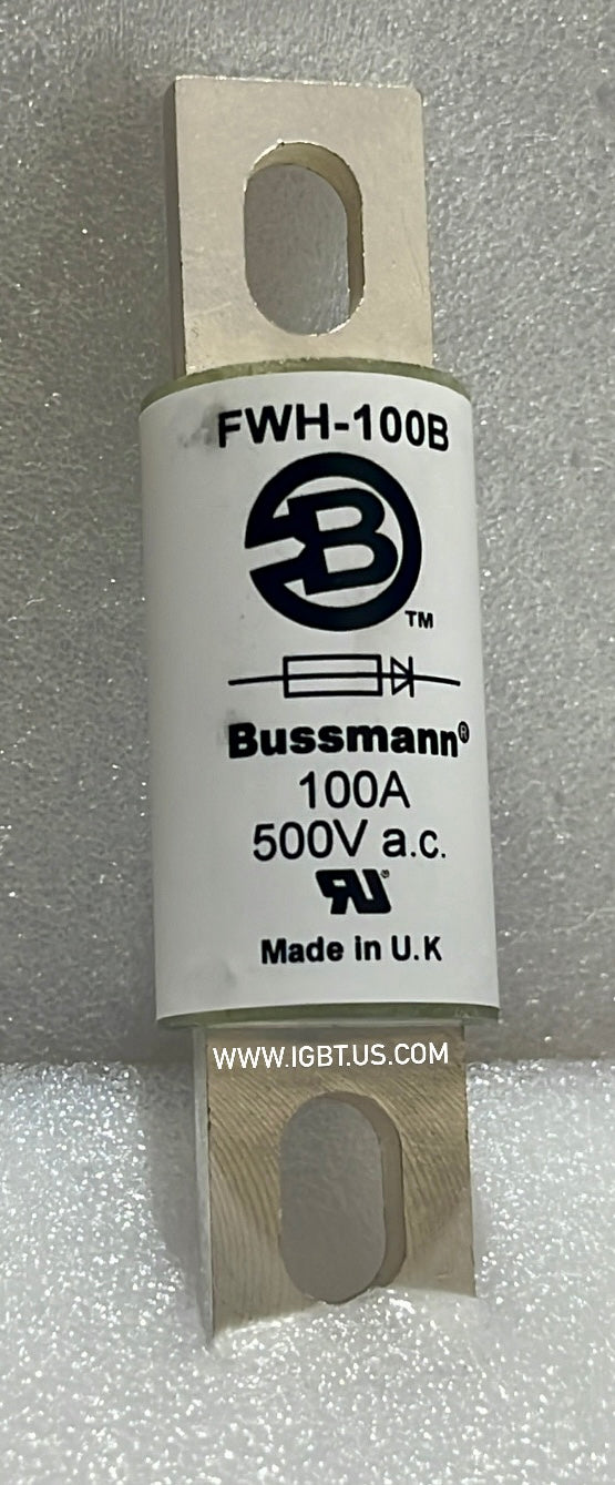 FWH-100B-BUSSMANN