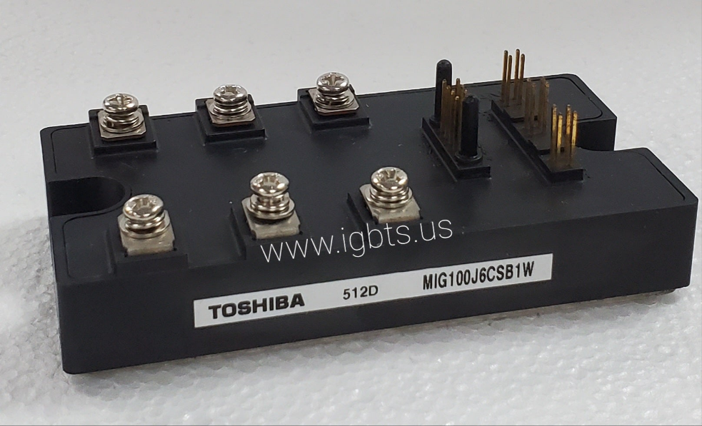 MIG100J6CSB1W-TOSHIBA