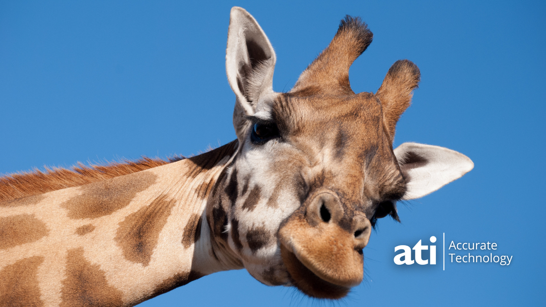 Powering the Wild: Obsolete IGBTs in Modern Zoo Infrastructure